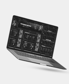 Portfolio item